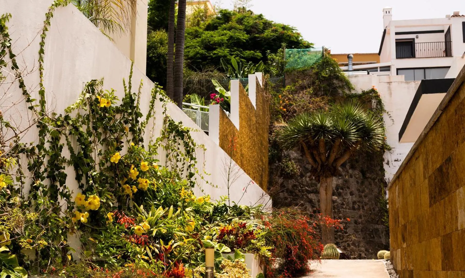 Villa Laurisilva Sauzal Spain